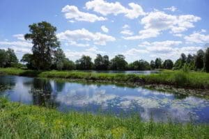 Wohnmobilstellplatz Au am Rhein Wohnmobilstellplatz Au am Rhein