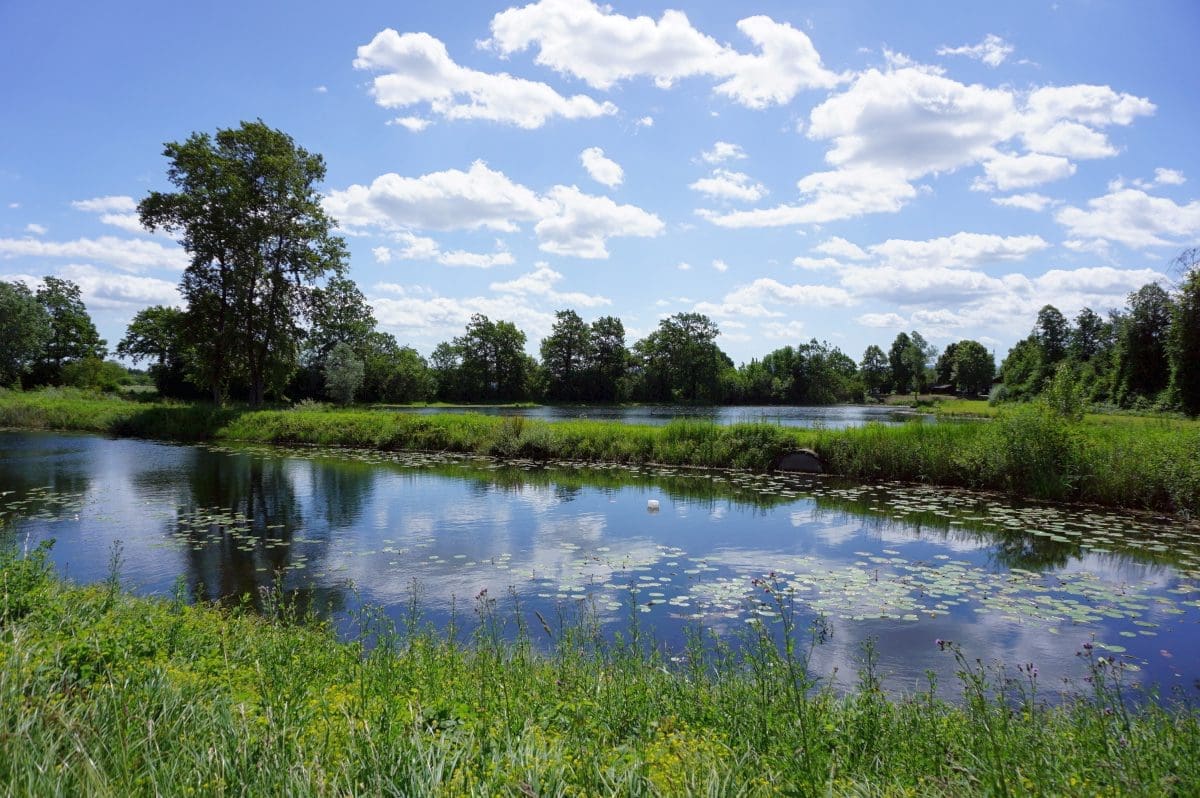 Wohnmobilstellplatz Au am Rhein Wohnmobilstellplatz Au am Rhein