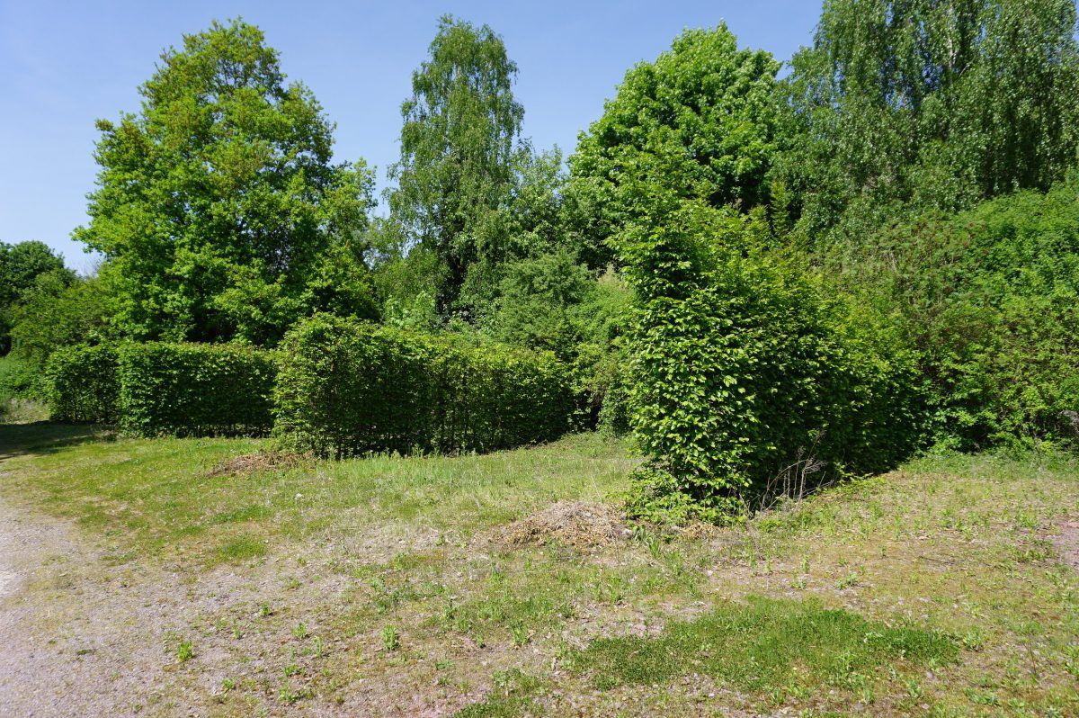 Wohnmobilstellplatz Sonnenberg