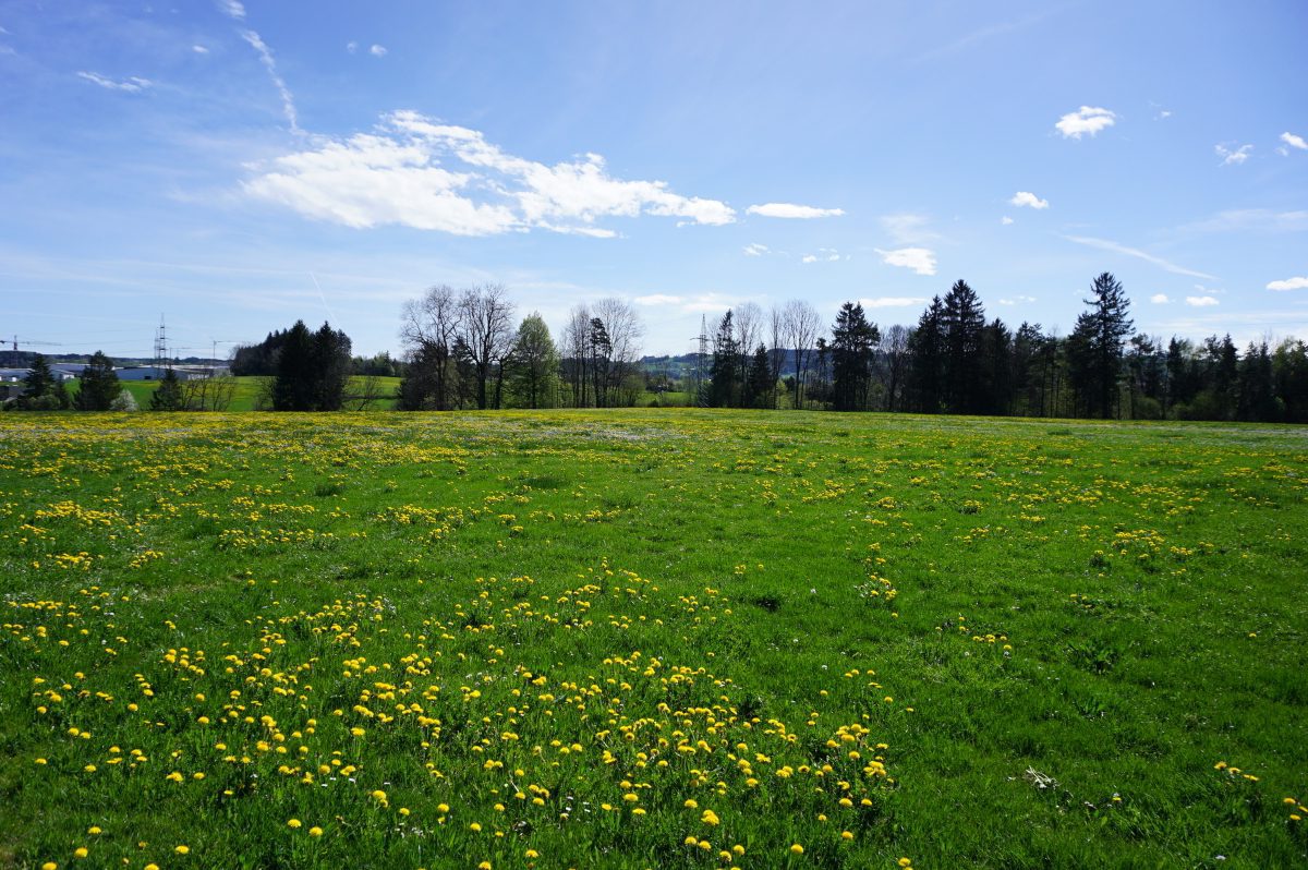 Wohnmobilstellplatz am Ferienhof Sommer