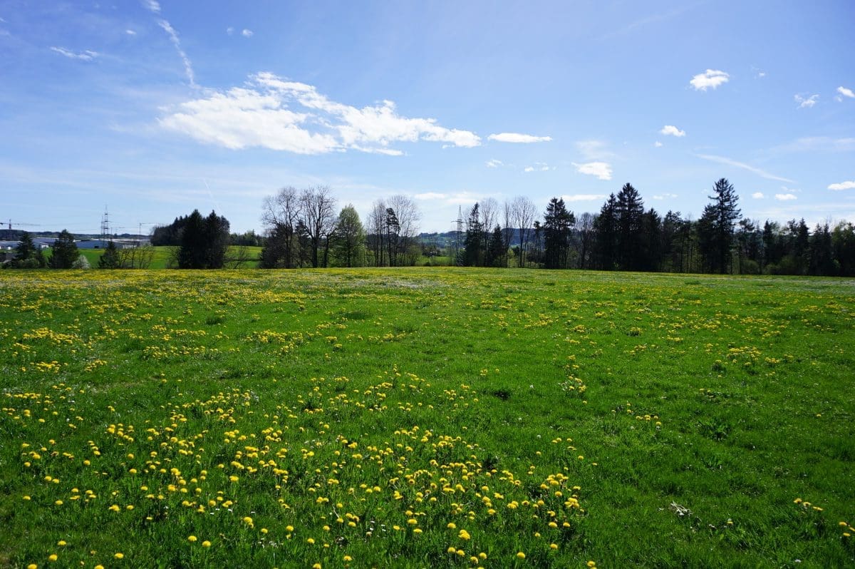 Wohnmobilstellplatz am Ferienhof Sommer Wohnmobilstellplatz am Ferienhof Sommer