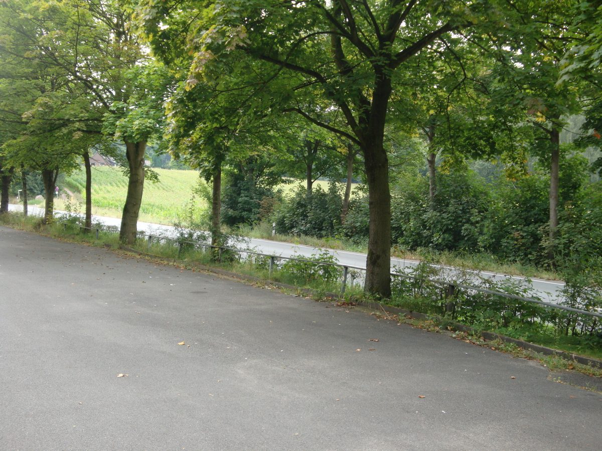 Freizeitpark Sommerrodelbahn Ibbenbüren