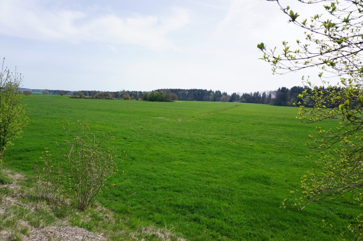 Wohnmobilstellplatz Weites Ried
