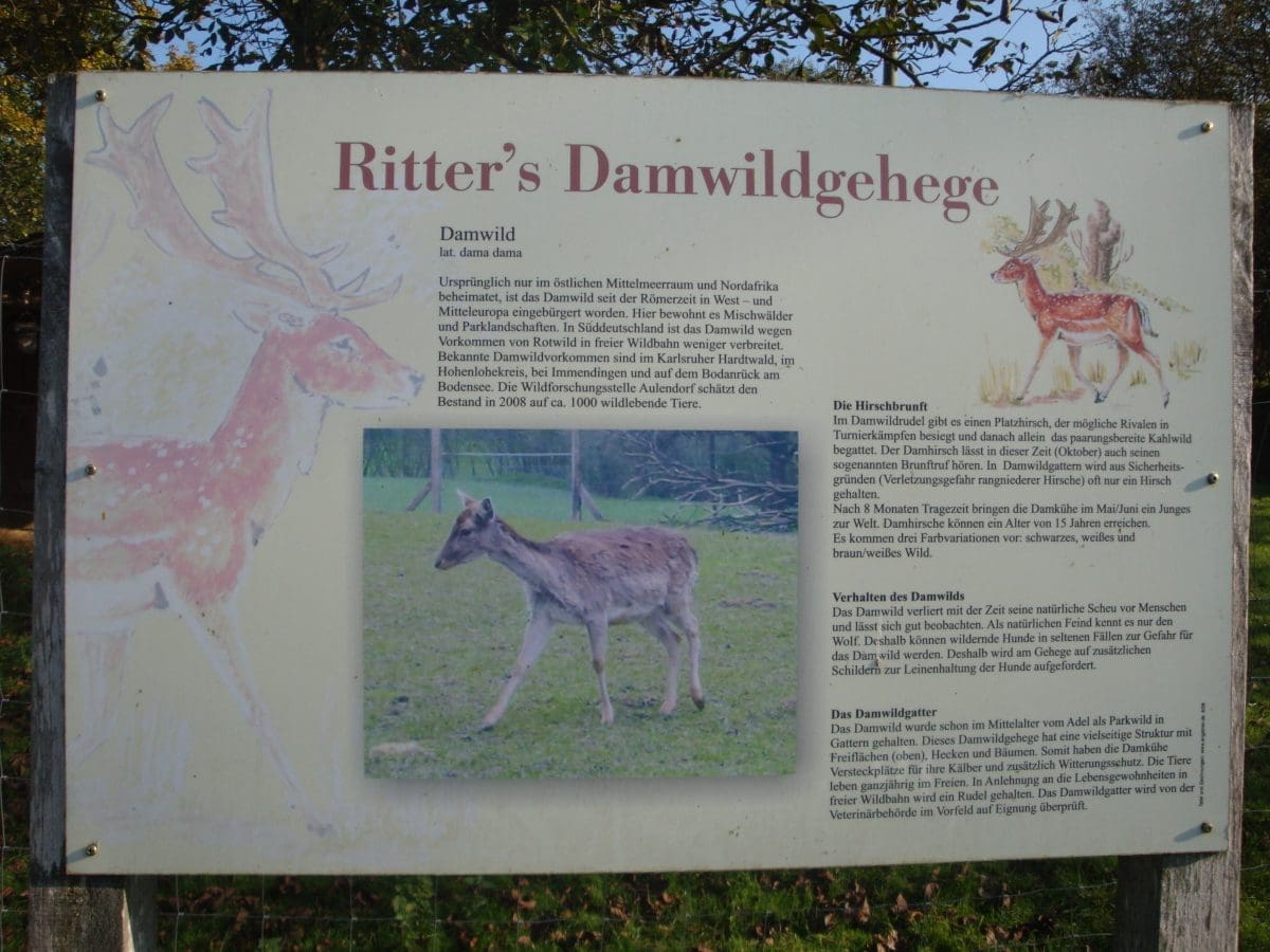 Wohnmobilstellplatz an Ritters Weinstube Wohnmobilstellplatz an Ritters Weinstube