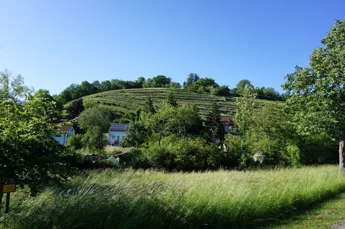 Wohnmobilstellplatz Talaue am Kloster