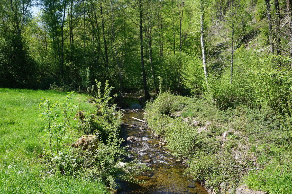Wohnmobilstellplatz Riveris