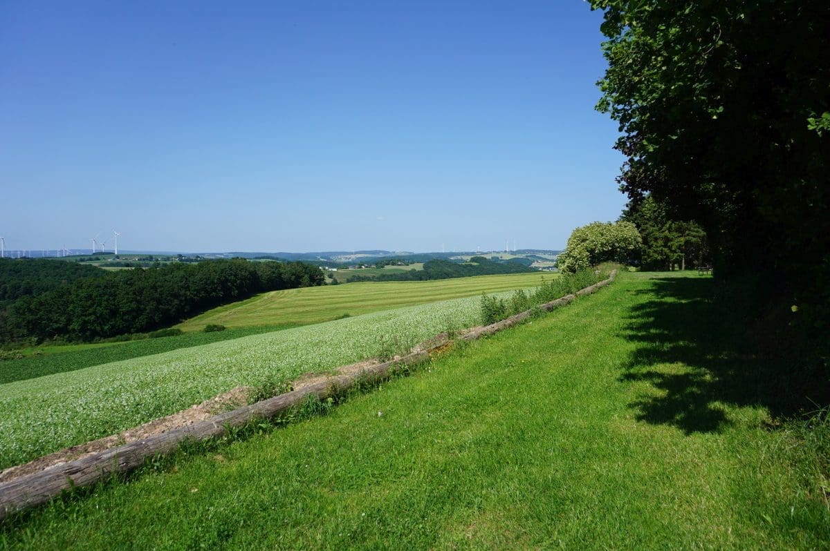 Wohnmobilstellplatz Weitblick in Lauperath-Scheidchen