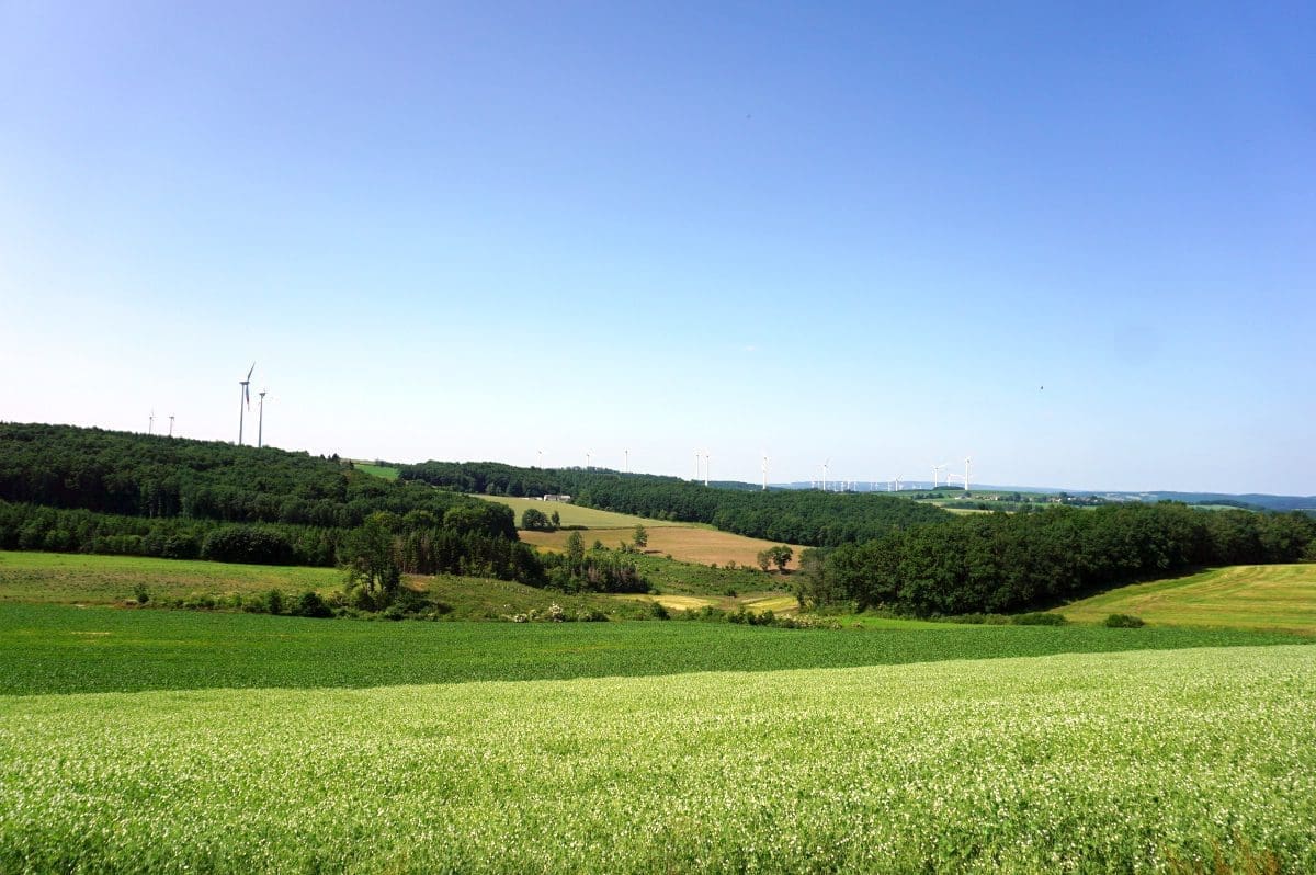 Wohnmobilstellplatz Weitblick in Lauperath-Scheidchen