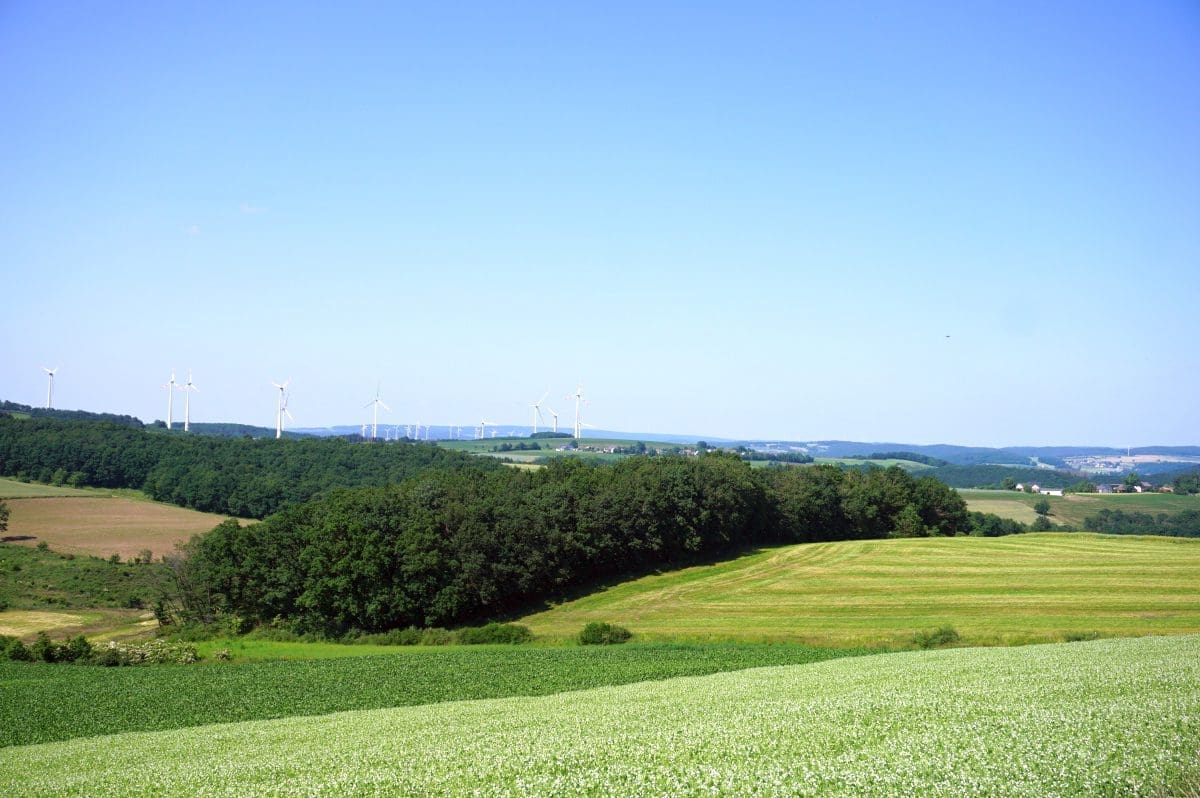 Wohnmobilstellplatz Weitblick in Lauperath-Scheidchen