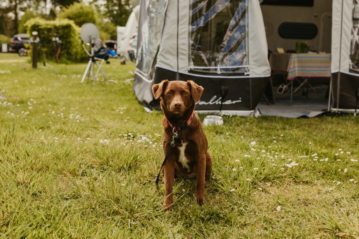 Campingplatz Emstal