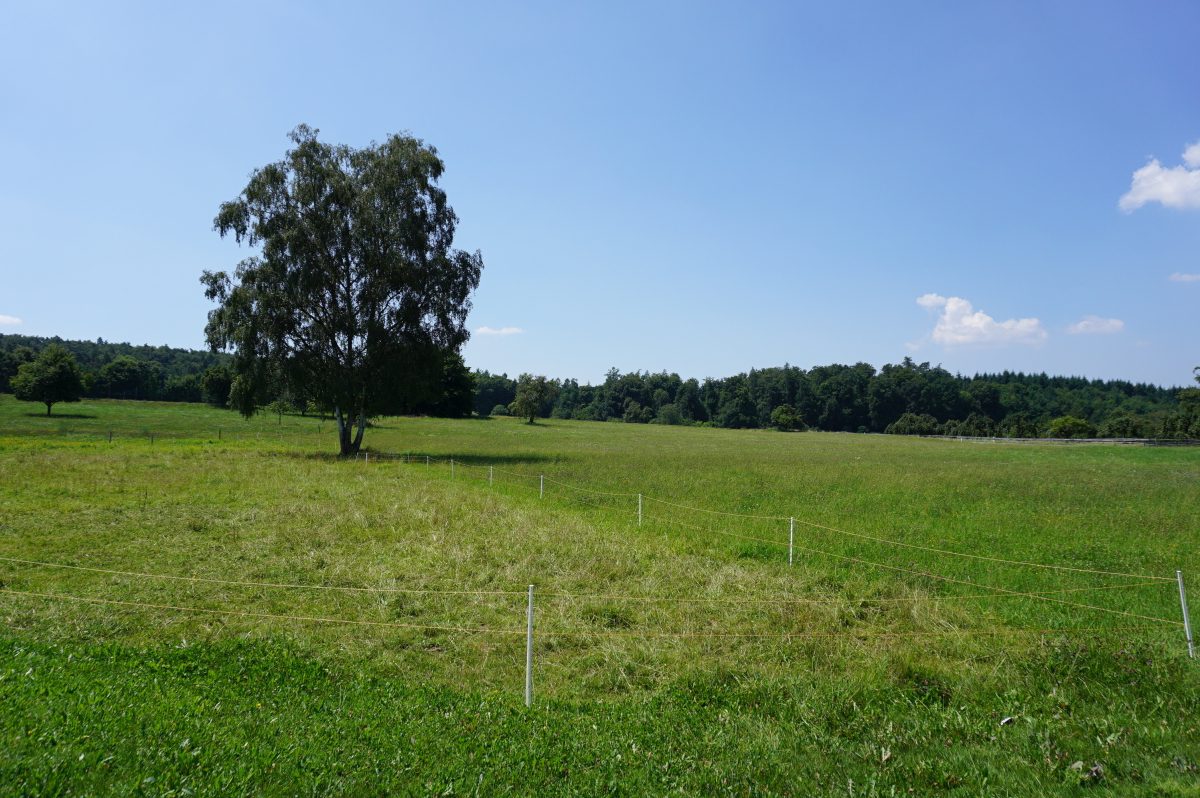 Wohnmobilstellplatz am Landgasthaus Mindelsee