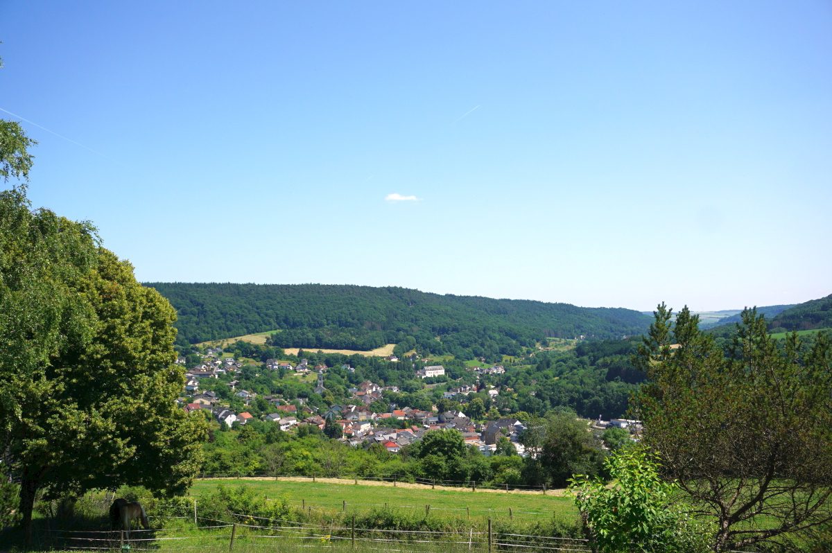 Wohnmobilstellplatz am Waldhotel Sonnenberg
