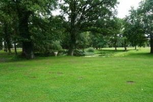 Wohnmobilstellplatz am Gutshaus Büttnerhof