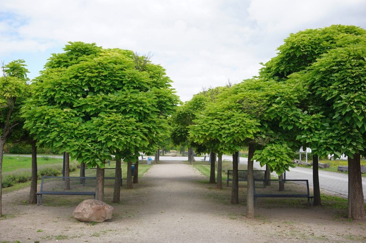Wohnmobilstellplatz beim Festplatz in Bitterfeld-Wolfen