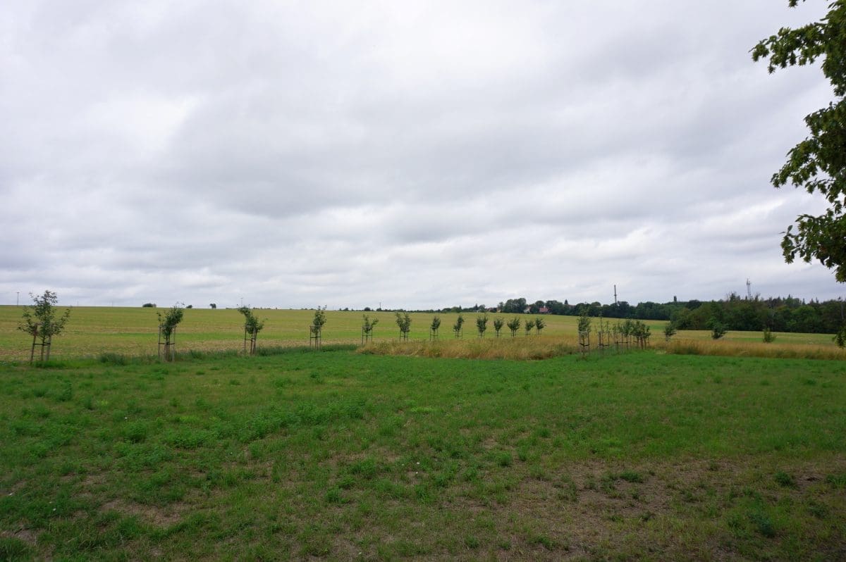 Wohnmobilstellplatz am Hotel Wilhelmsburg