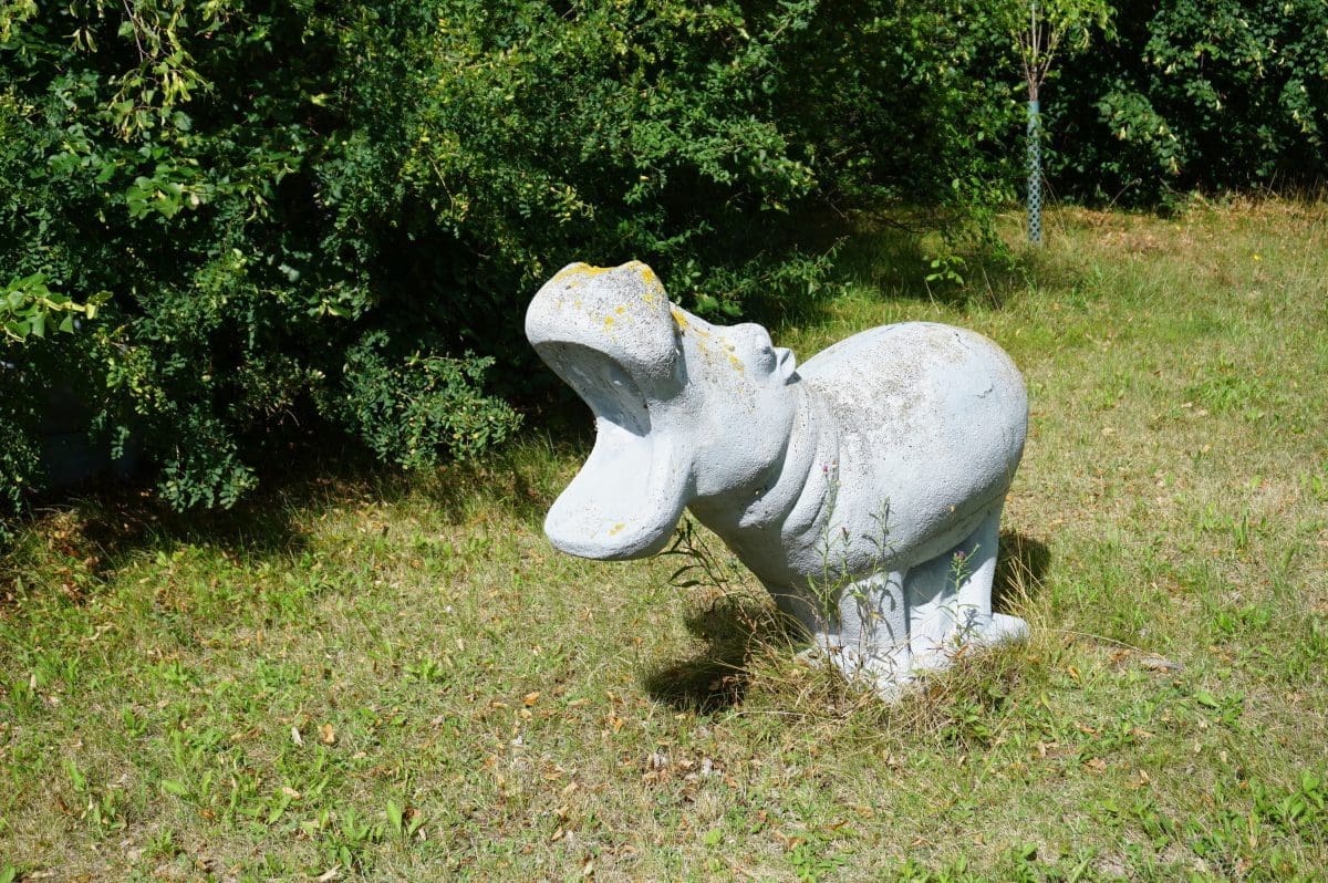 Wohnmobilstellplatz Schützenverein Diana Bitterfeld