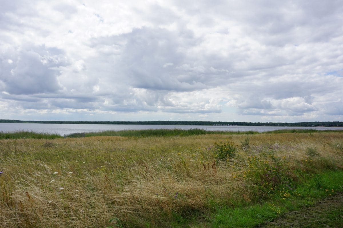 Wohnmobilstellplatz beim Festplatz in Bitterfeld-Wolfen