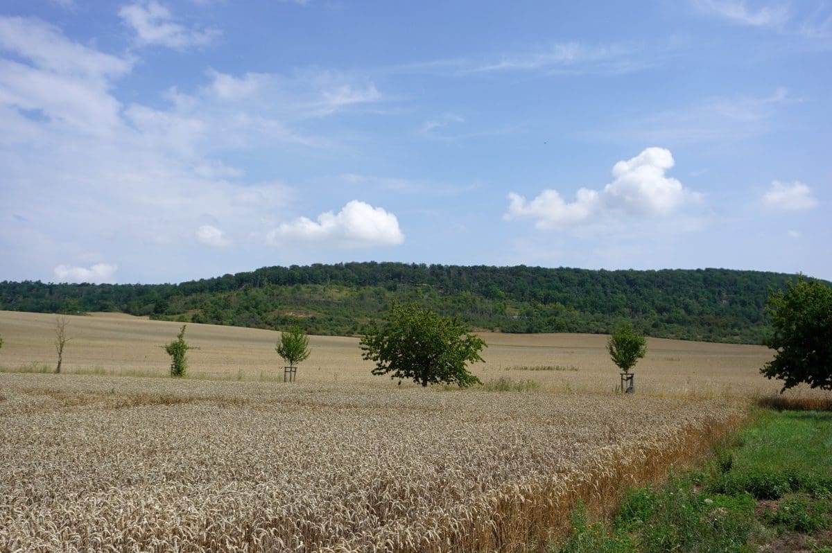 Wandergebiet Trias-Tor Wandergebiet Trias-Tor