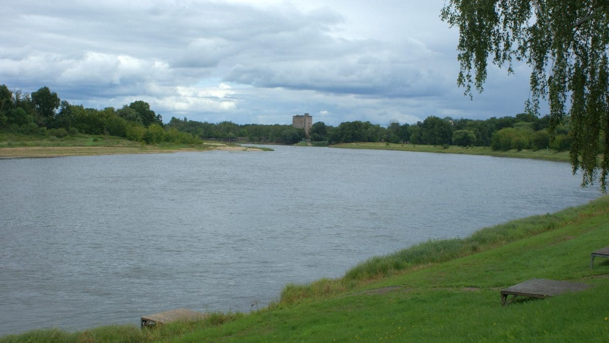 Die Elbe in Dessau-Roßlau