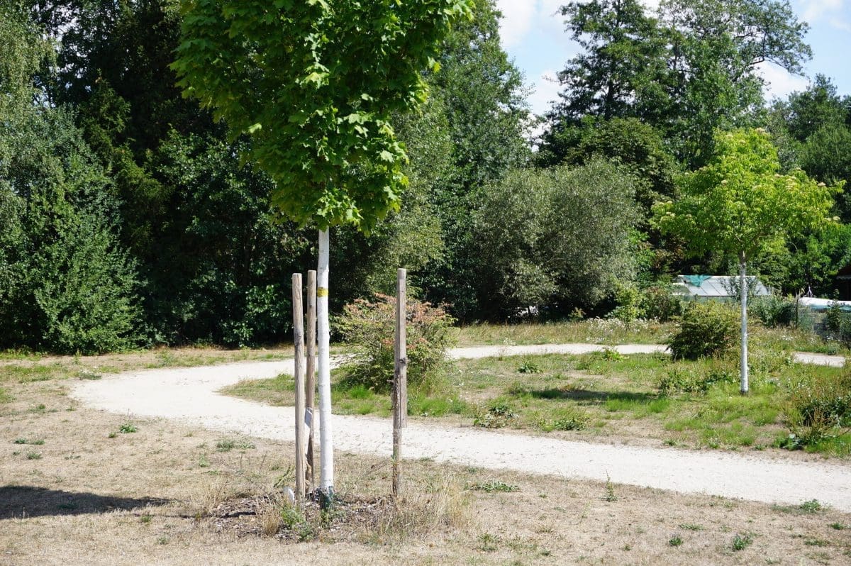 Wohnmobilstellplatz am Behälterweiher