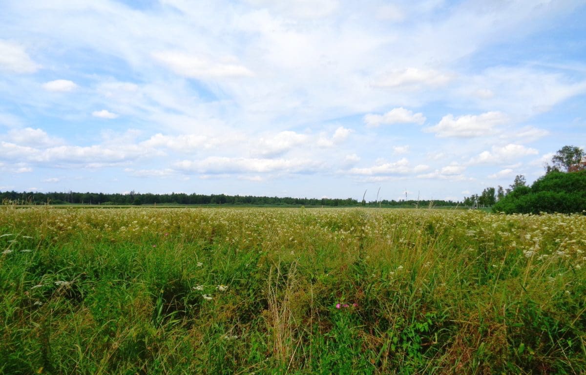 Wohnmobilstellplatz am Federseemuseum