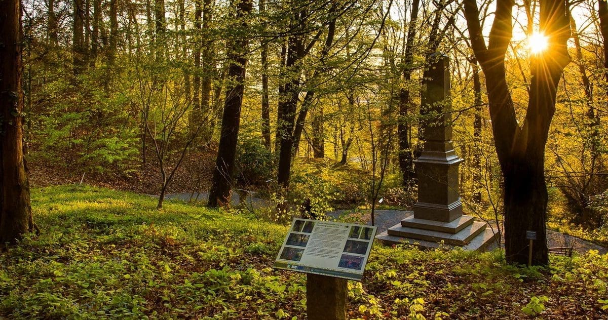 Dendrologischer Garten