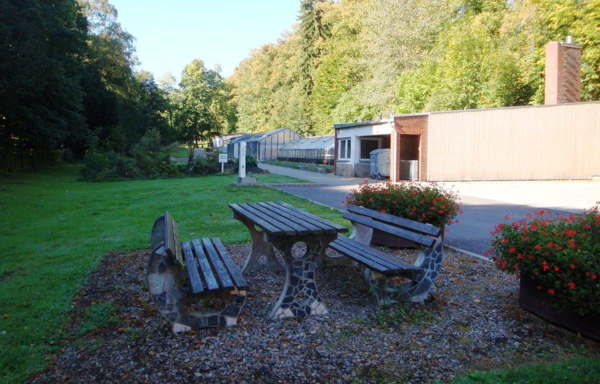Wohnmobilstellplatz im Stahlbrunnental