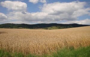 Wohnmobilstellplatz in Bevern