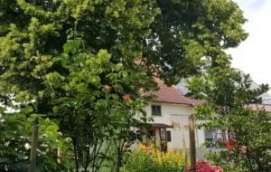 Wohnmobilstellplatz am Bauernhof Lott