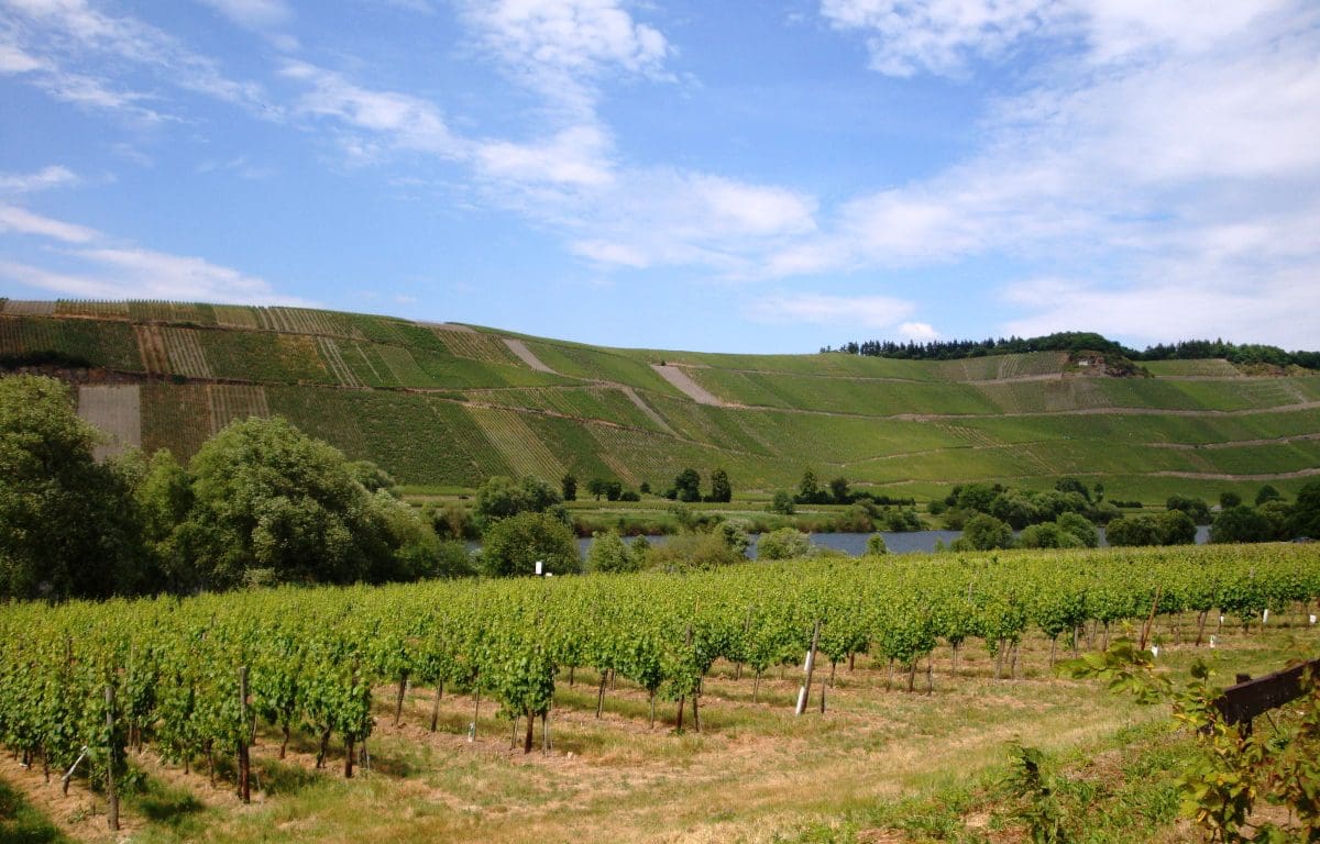 Wohnmobilstellplatz Brauneberger Juffer