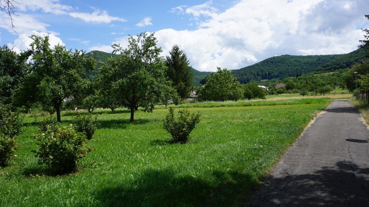 Wohnmobilstellplatz der Panorama Therme Beuren