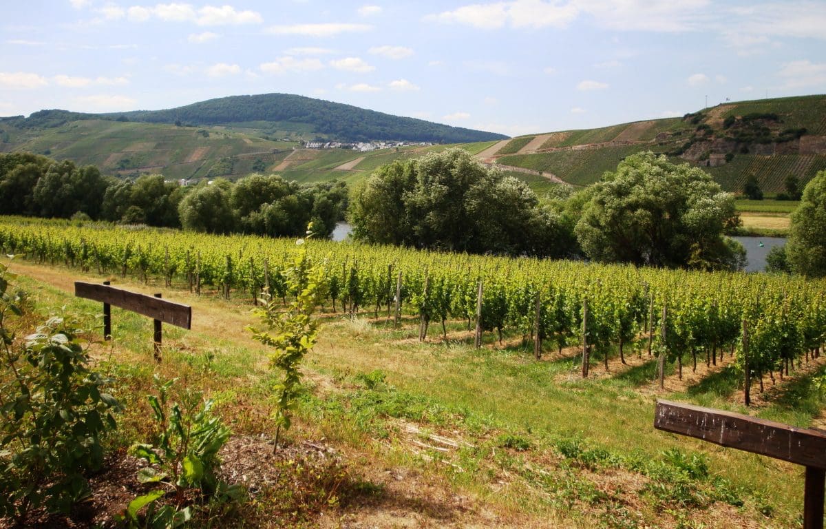 Wohnmobilstellplatz Brauneberger Juffer