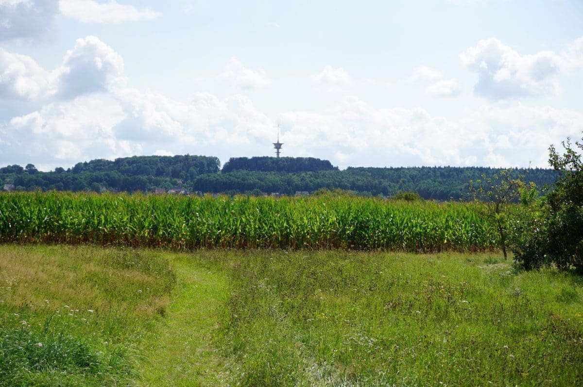 Wohnmobilstellplatz Ruheoase Obstwiese