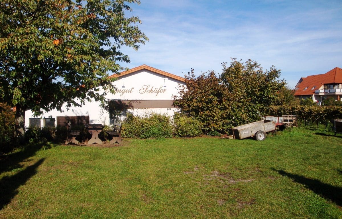 Wohnmobilstellplatz am Weingut Schäfer