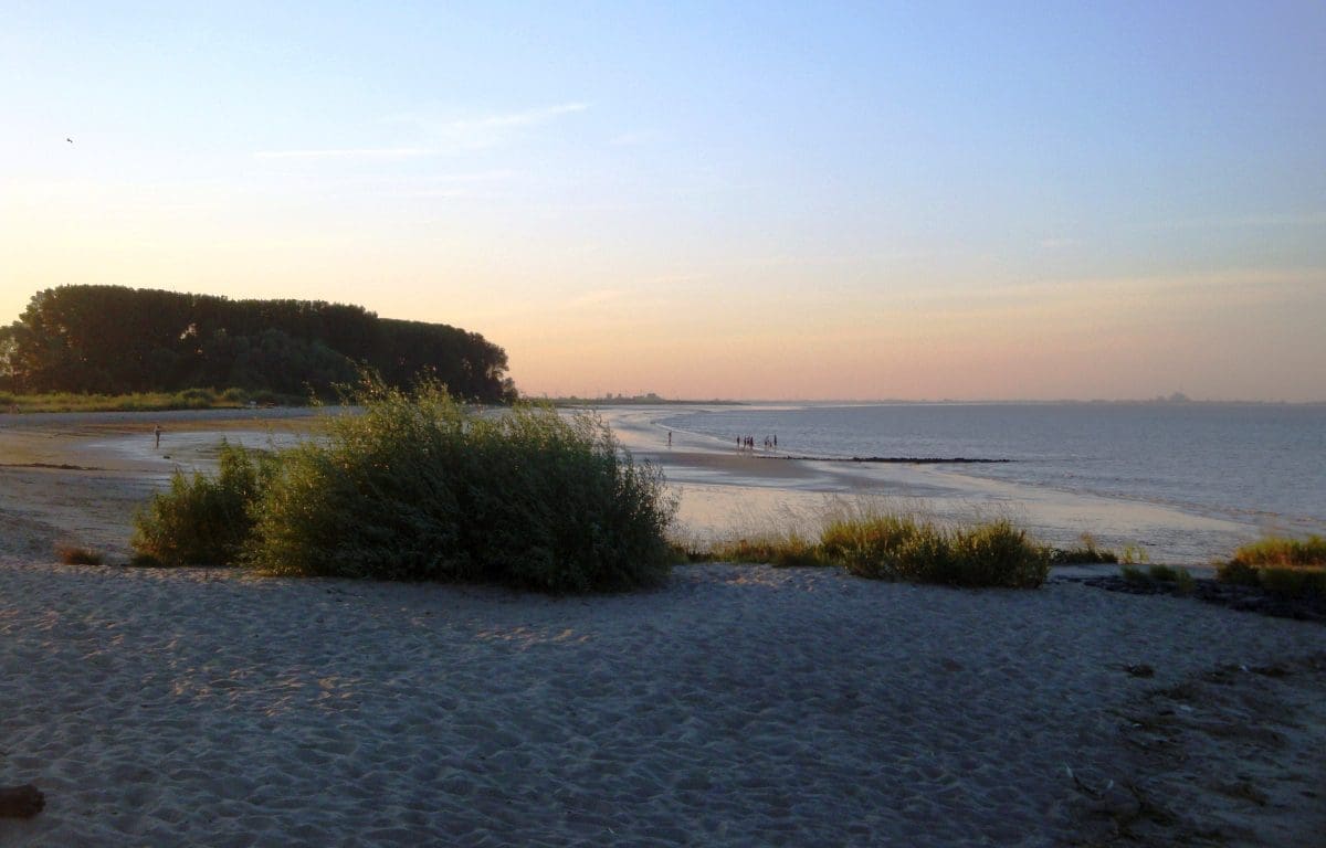 Wohnmobilstellplatz am Elbdeich