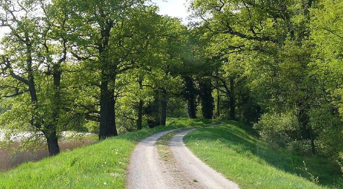 Wohnmobilstellplatz Dorfrepublik Rüterberg Wohnmobilstellplatz Dorfrepublik Rüterberg