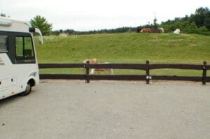 Wohnmobilstellplatz Minipony Ranch