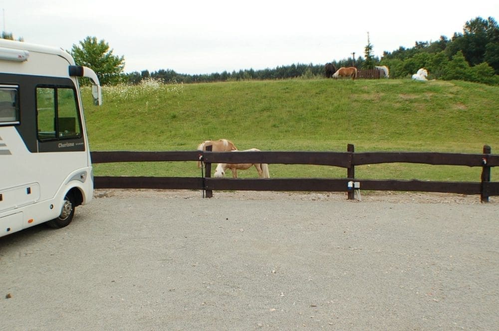 Wohnmobilstellplatz Minipony Ranch