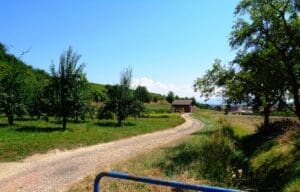 Wohnmobilstellplatz am Weingut Köbelin