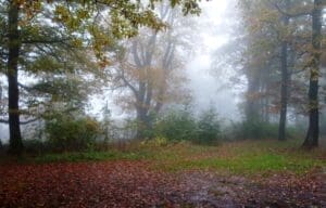 Wohnmobilstellplatz am Wildpark Potzberg