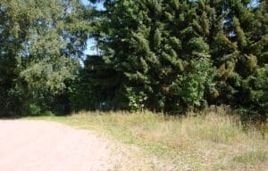 Wohnmobilstellplatz Fredenbeck