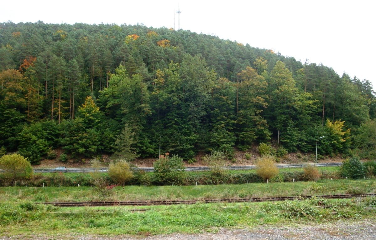 Wohnmobilstellplatz Elmstein