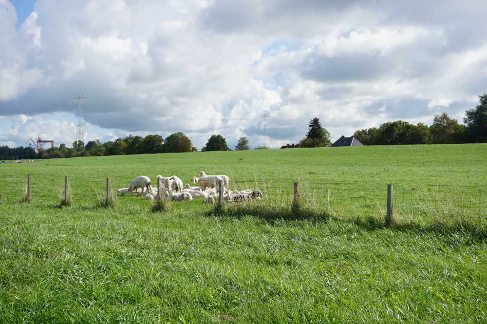Wohnmobilstellplatz am Yacht Club in Emden