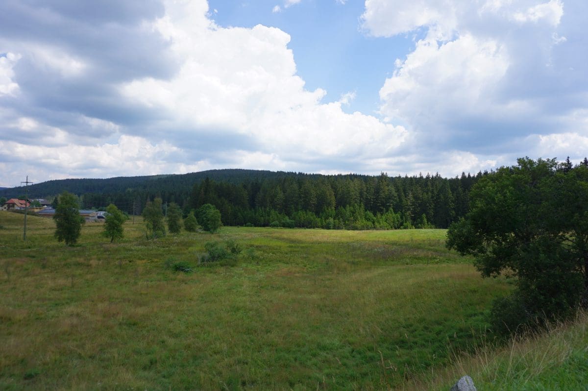 Wohnmobilstellplatz Feldberg