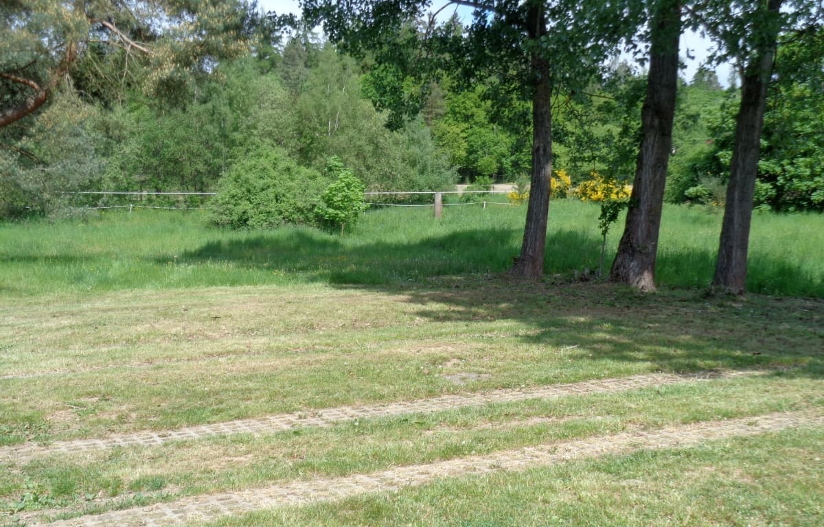 Wohnmobilstellplatz am Rosengarten in Gladenbach