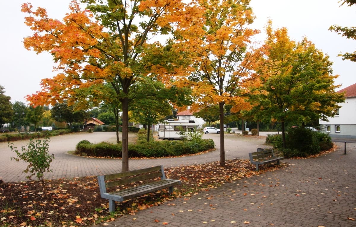 Wohnmobilstellplatz an der Petersberghalle in Gau-Odernheim