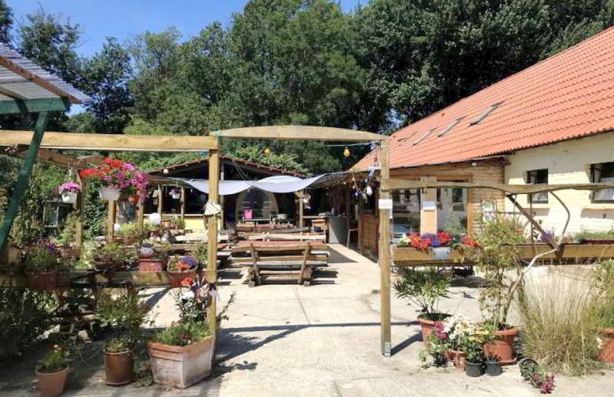 Wohnmobilstellplatz am Hof Lüttkevitz