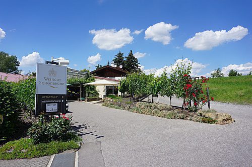 Wohnmobilstellplatz am Weingut Schönbrunn