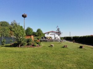 Wohnmobilstellplatz am Weingut Jung Wohnmobilstellplatz am Weingut Jung