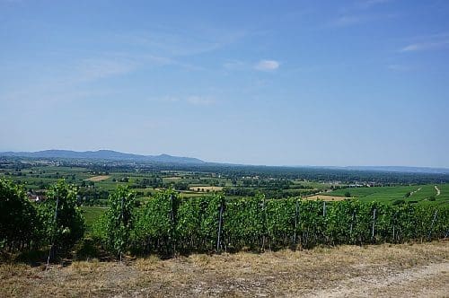 Wohnmobilstellplatz Batzenberg Festplatz